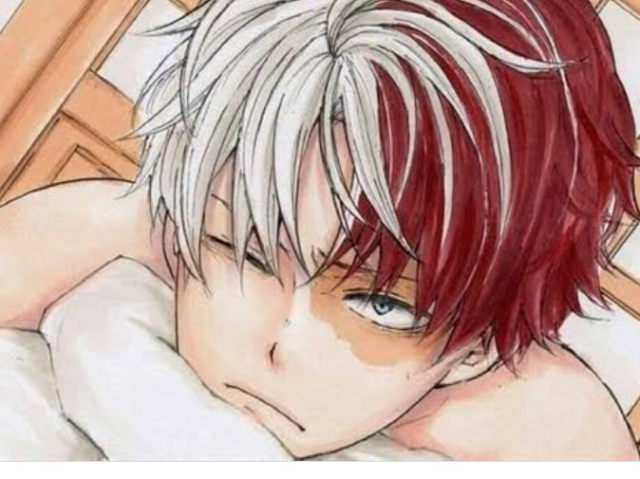 É melhor o todoroki sem camisa fica bonito