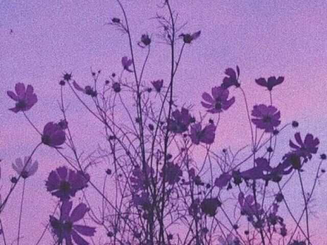 Aesthetic