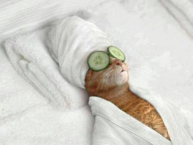 SPA day