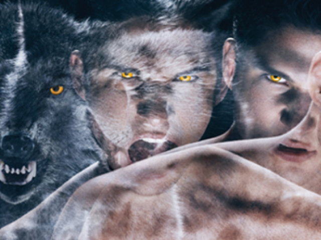 Sabes bem sobre Teen Wolf?