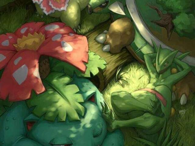 Planta