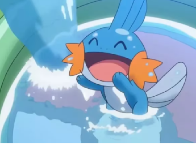 Mudkip