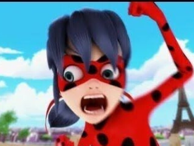 Ladybug