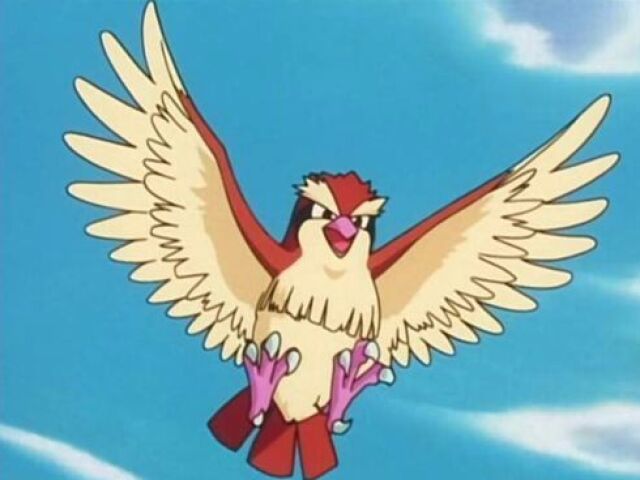 Pidgey