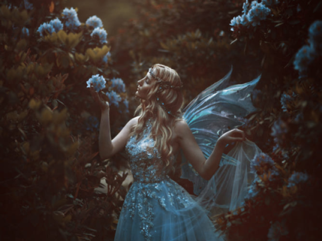 Princesa fada