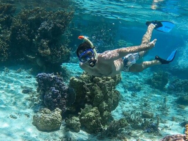 snorkeling