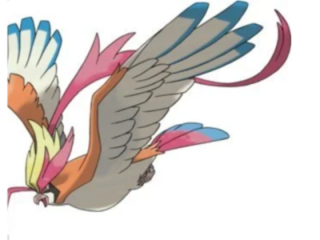 M pidgeot