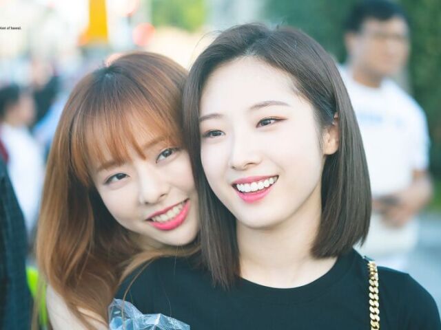 ViVi/Haseul