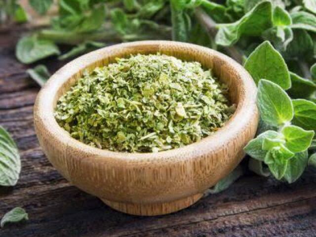 Oregano