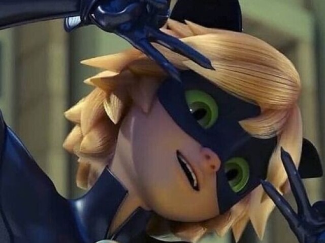 Cat noir