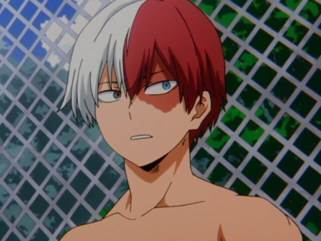 Todoroki Shoto