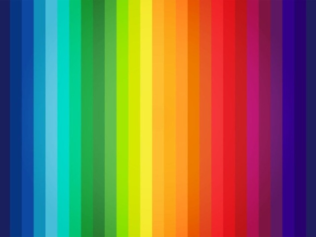 Nenhum/Outro