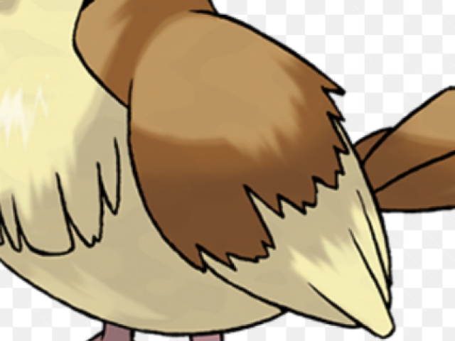 Pidgey