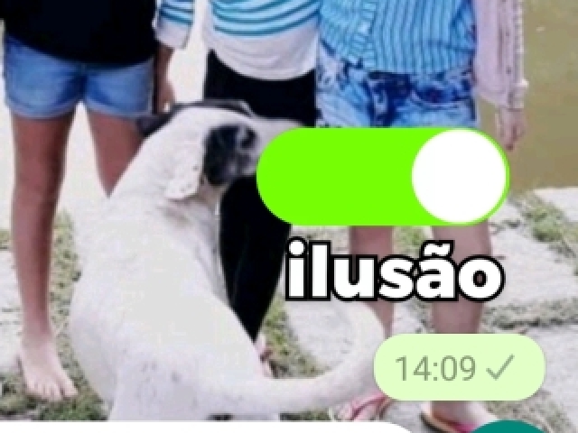 Ilusão