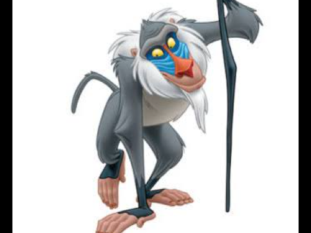 8. Rafiki