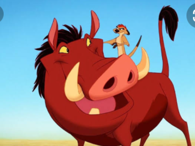 Timão e Pumba