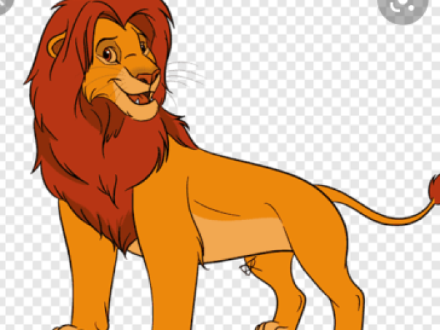 Simba adulto