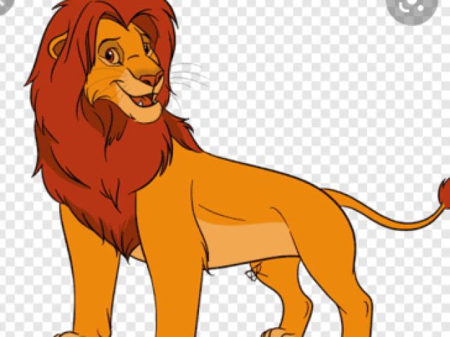 11. Simba adulto