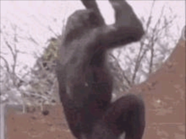 Monkey flip