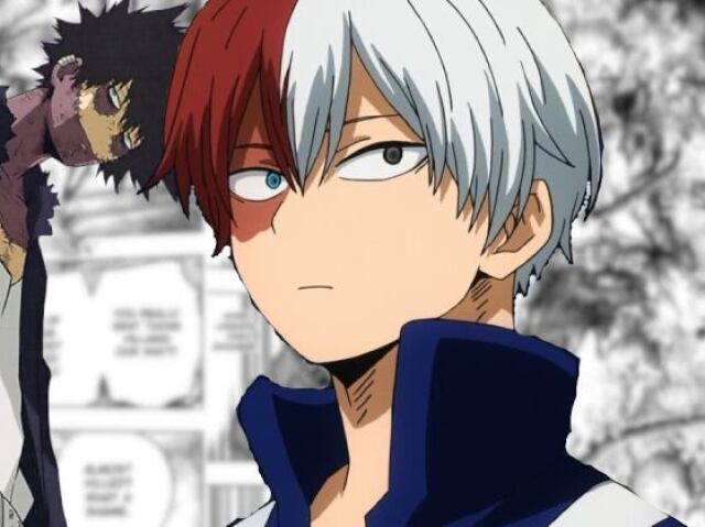 TODOROKI