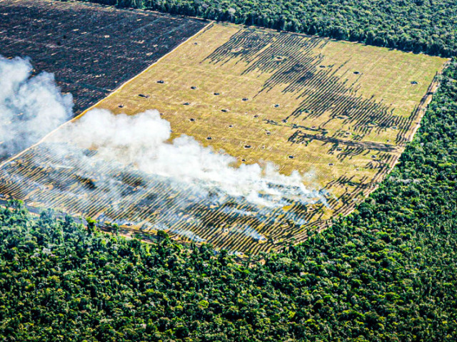 O desmatamento ambiental e as queimadas ocasionam o aumento da poluição.