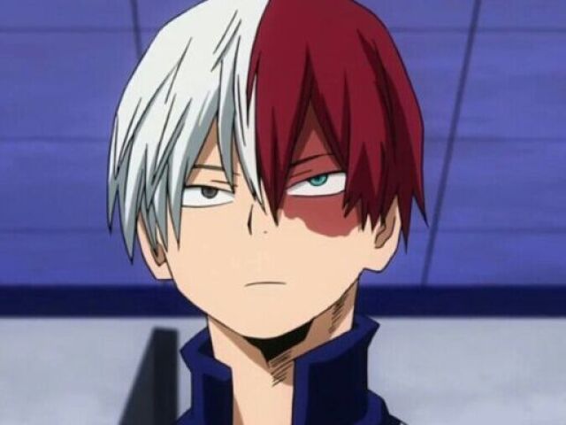 Shoto Todoroki