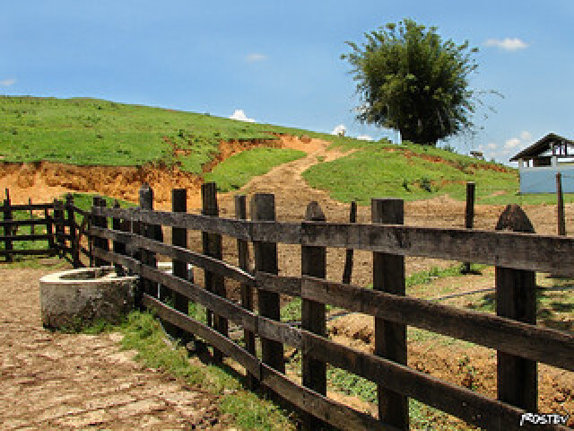 fazenda