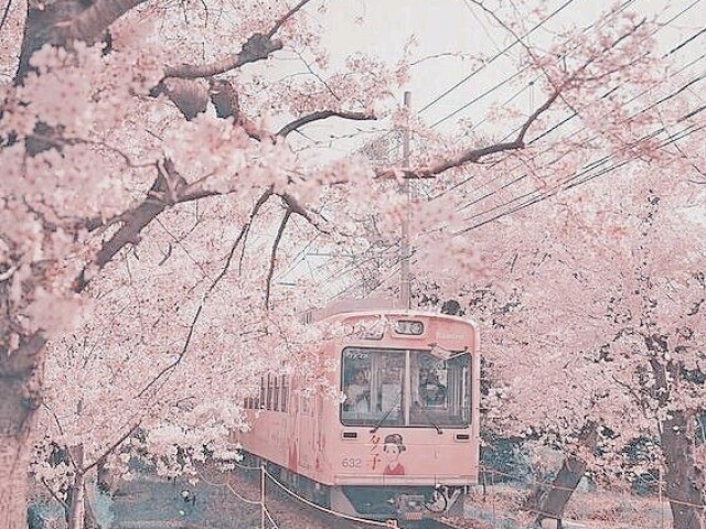 Doçura,tranquilidade,paz e romance