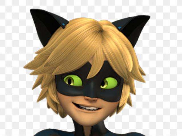 cat noir