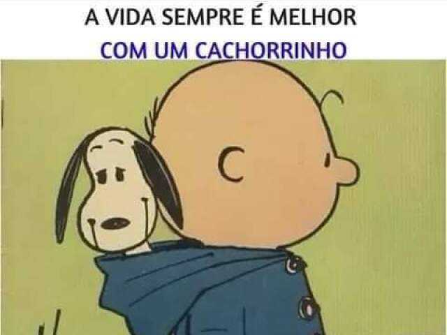 Fofo