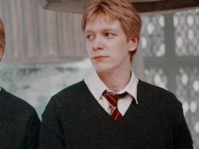 Fred Weasley ♥️