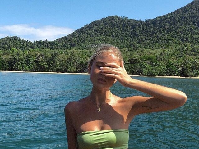 🐢