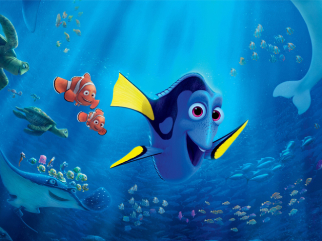 Dory