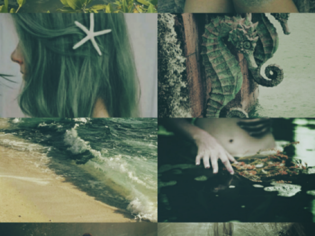 🐚Cheia de aventuras🐚