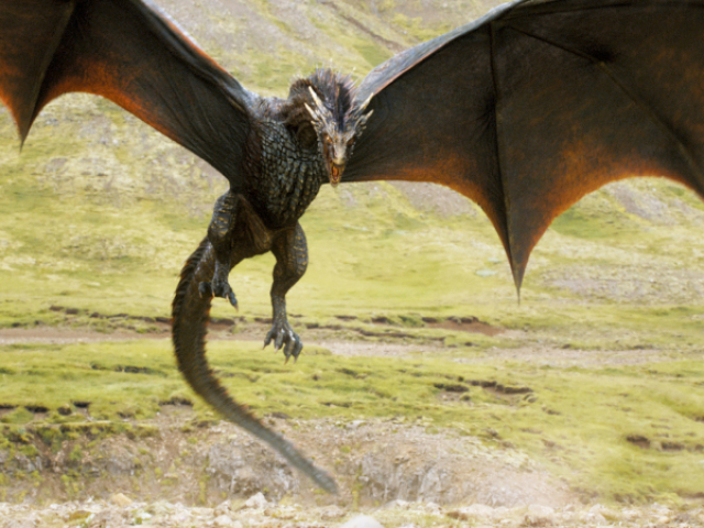 Dragão 🐉