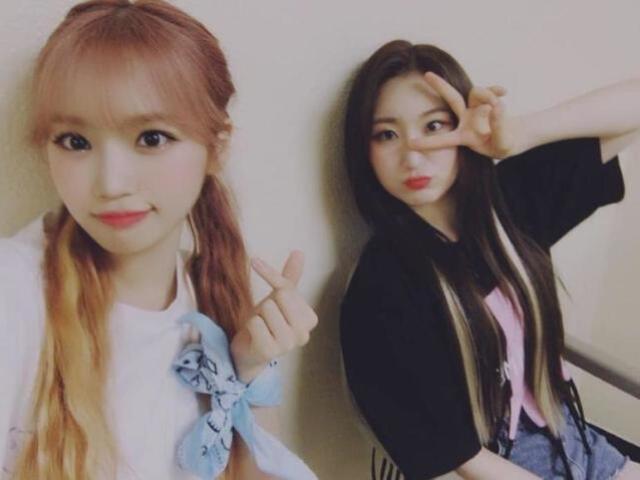 Wiz*one!