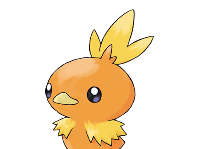 Torchic