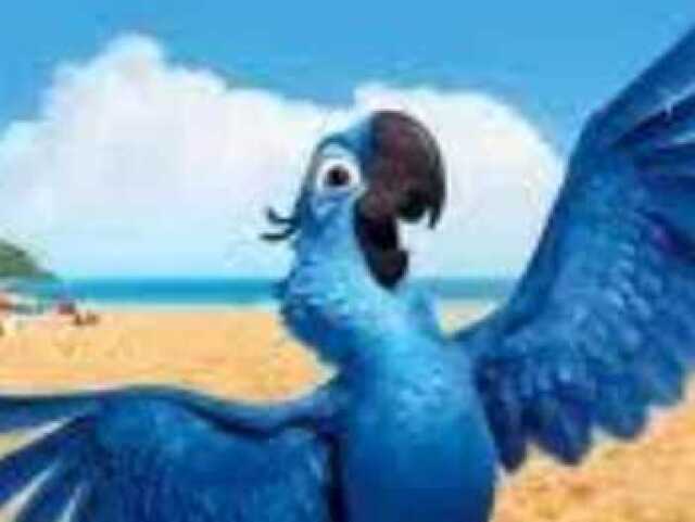 Arara azul