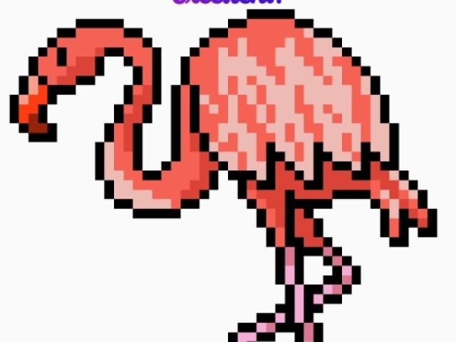 Flamingo