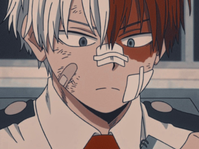 Todoroki Shoto