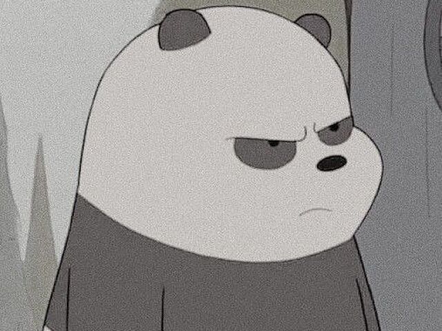 ⌜Panda⌝
