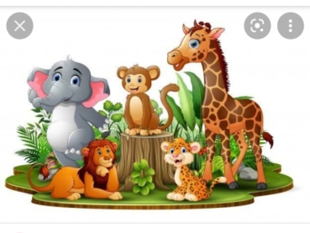 Leão, macaco e girafa.