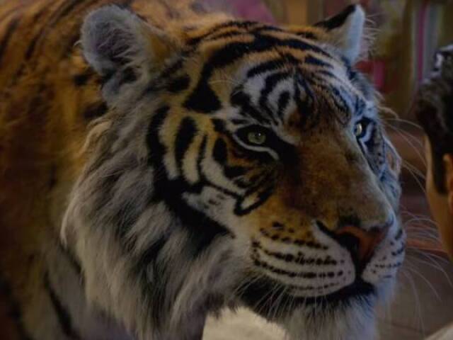 Rajah da Jasmine