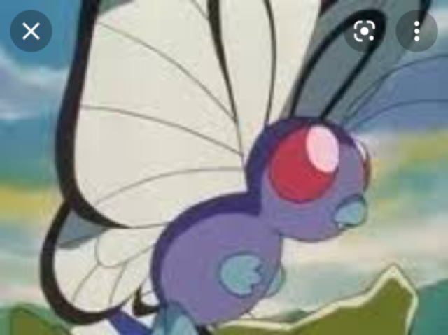 Você é o butterfree do ash