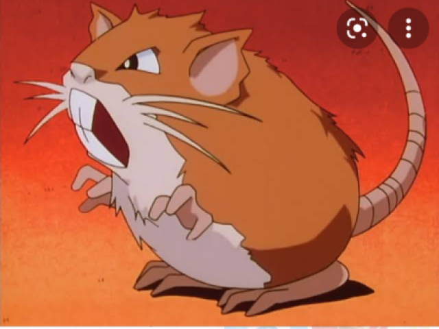 Você é o raticate do ash