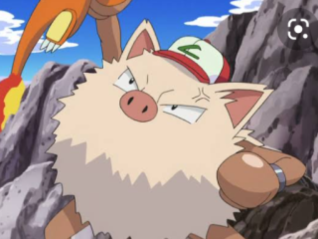 Você é o primape do ash