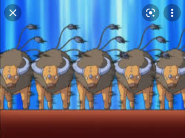 Você é o Tauros do ash