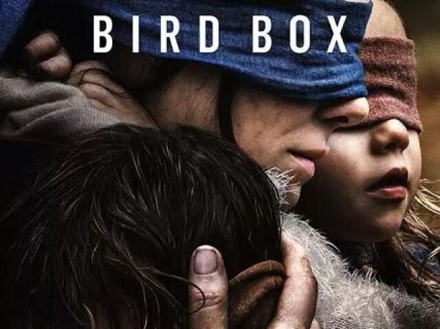 Bird box