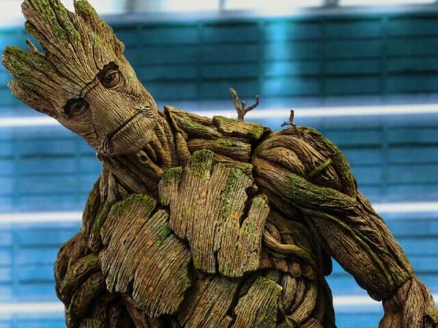 Groot