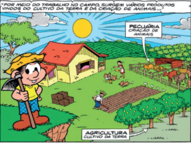 ( B ) Agricultura e pecuária.